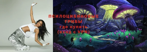 PSILOCYBIN Арсеньев