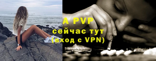 трава Инта