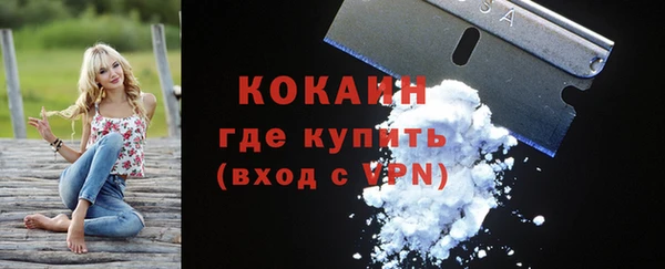 мяу мяу мука Иннополис