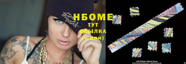 PSILOCYBIN Аркадак