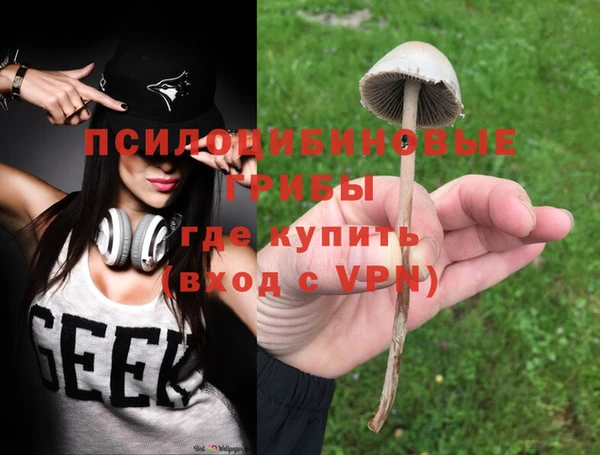 PSILOCYBIN Аркадак