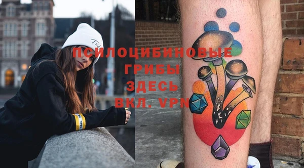 PSILOCYBIN Арсеньев