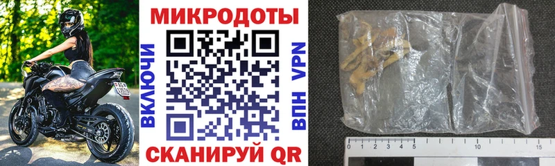хочу Аша Галлюциногенные грибы Psilocybe